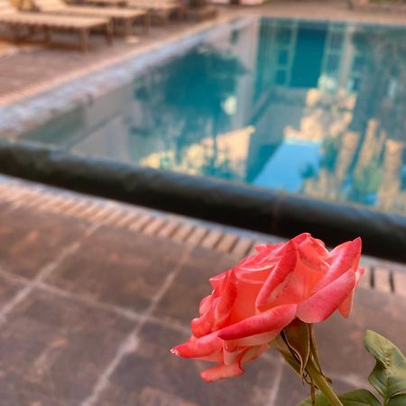 Riad Tania Mozaik Taroudant Buitenkant foto