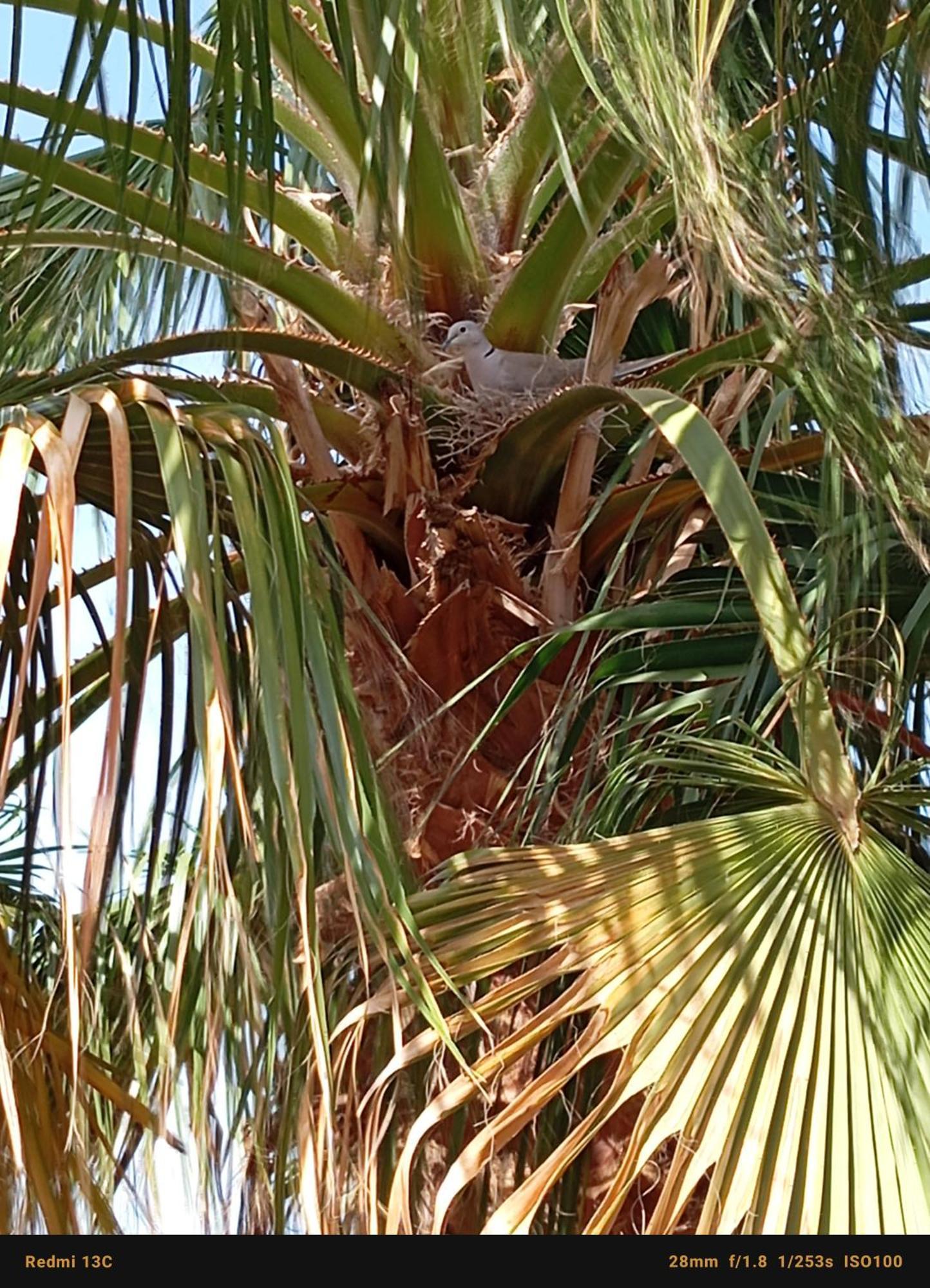 Riad Tania Mozaik Taroudant Buitenkant foto