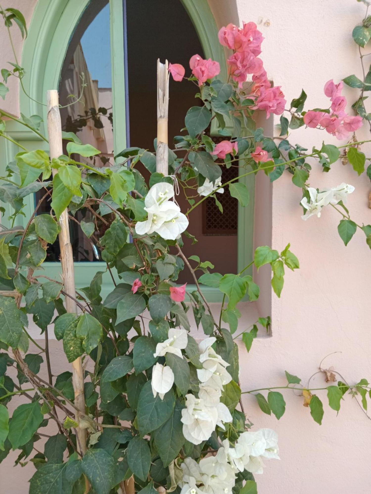 Riad Tania Mozaik Taroudant Buitenkant foto