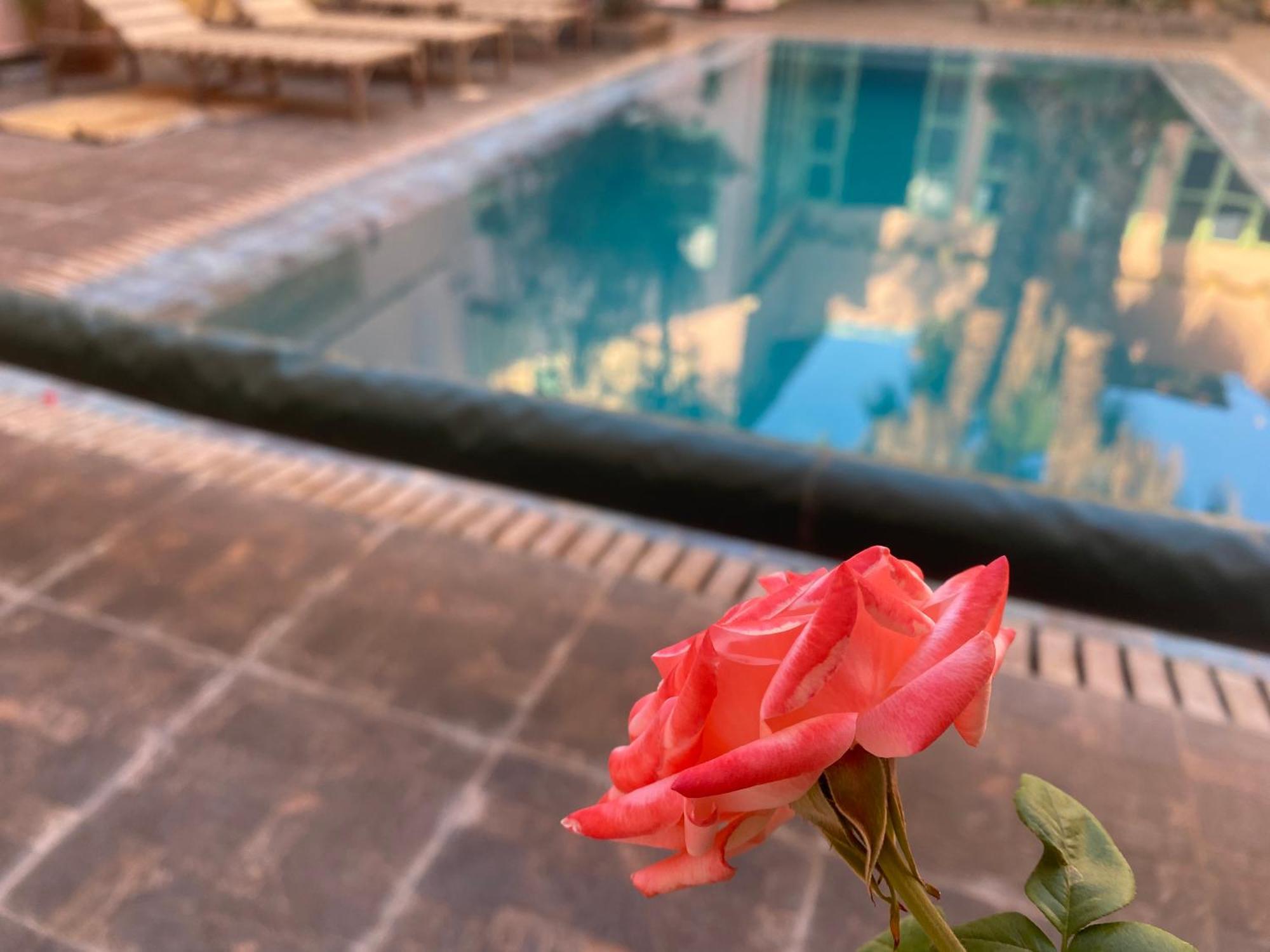 Riad Tania Mozaik Taroudant Buitenkant foto