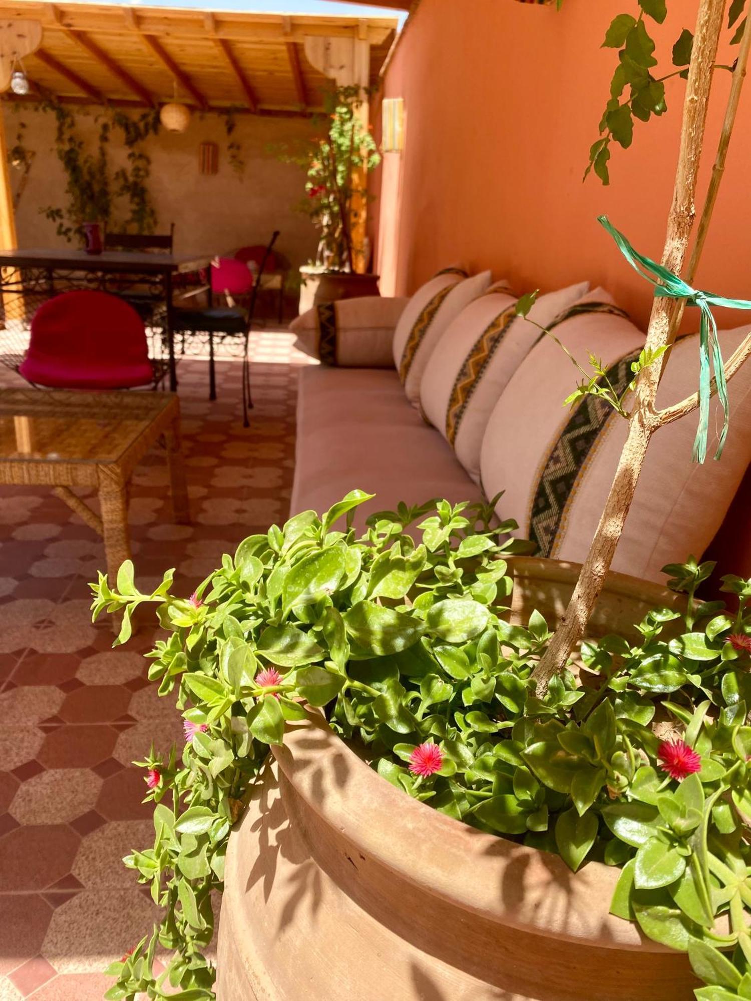 Riad Tania Mozaik Taroudant Buitenkant foto